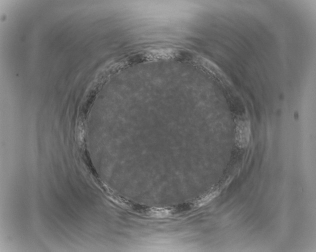 X0000066080701200603241432