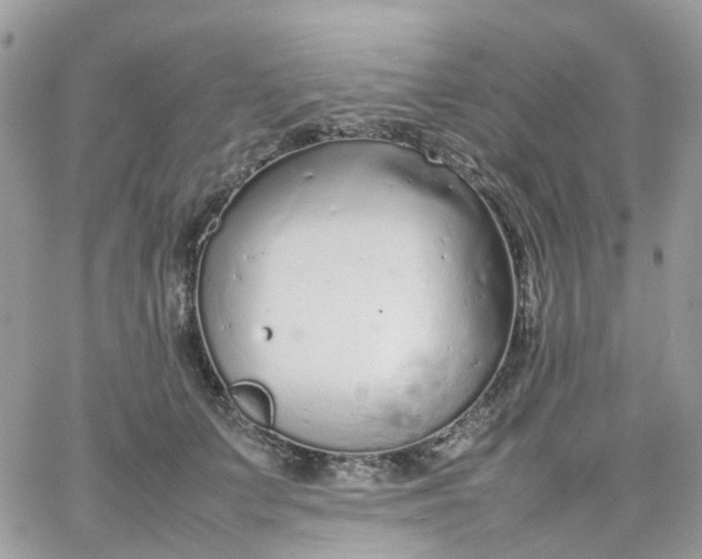 X0000066080703200603241432