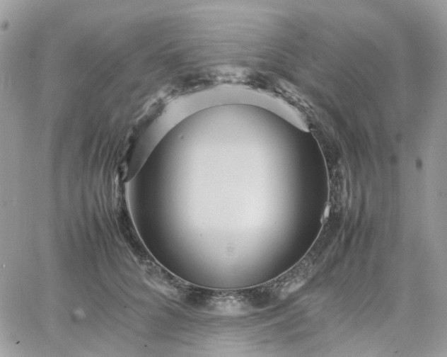 X0000066080704200603241432