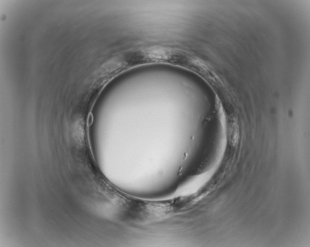 X0000066080707200603241432