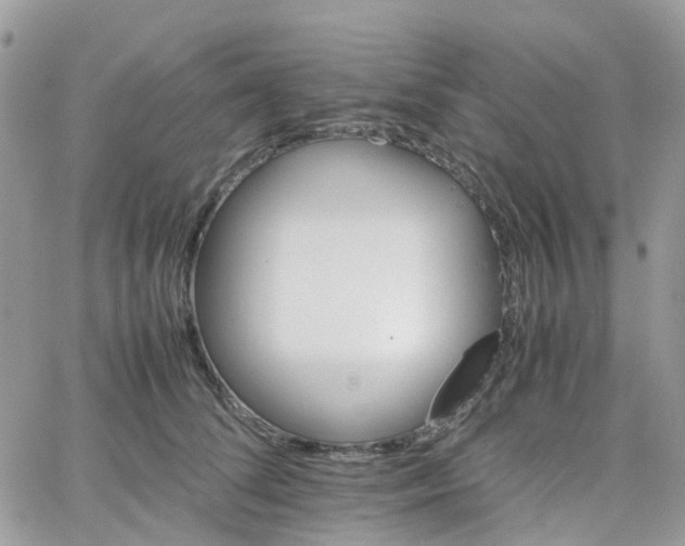 X0000066080708200603241432