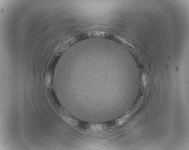 X0000066080709200603241432