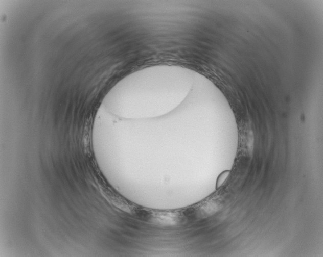 X0000066080710200603241432