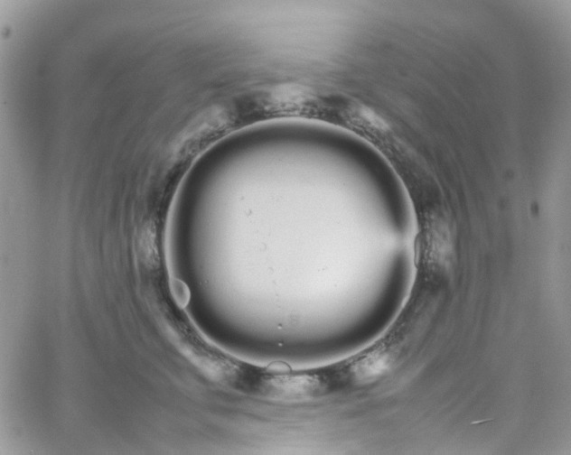 X0000066080711200603241432