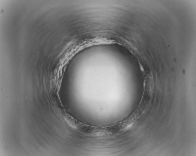 X0000066080712200603241432