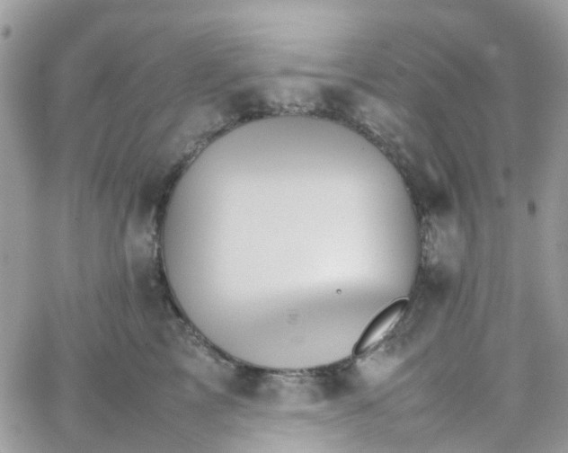 X0000066080713200603241432