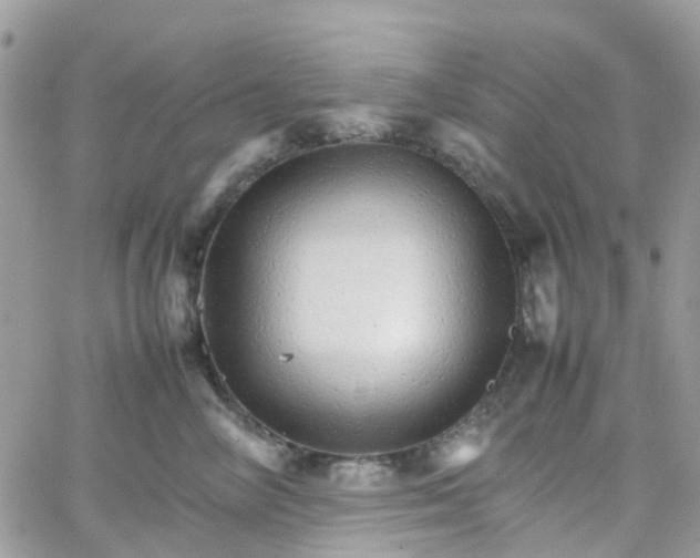 X0000066080714200603241432