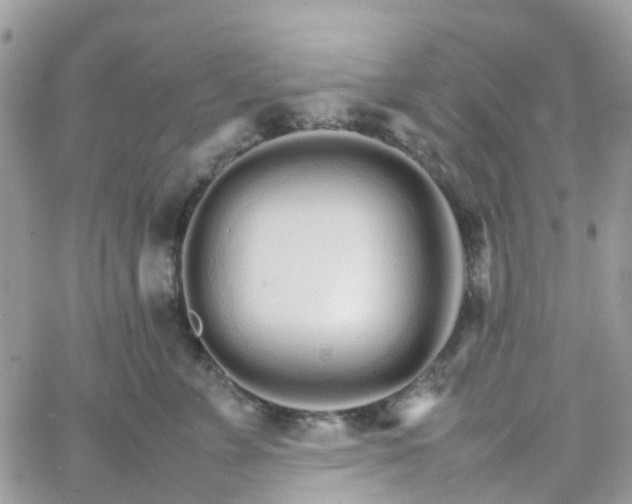 X0000066080715200603241432