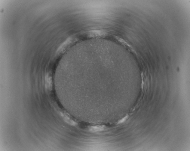 X0000066080716200603241432