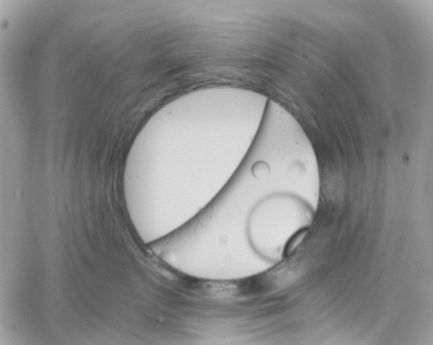 X0000066080719200603241432