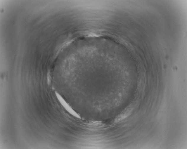 X0000066080720200603241432