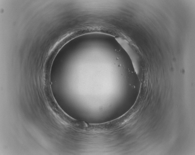 X0000066080722200603241431