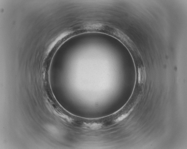 X0000066080723200603241431