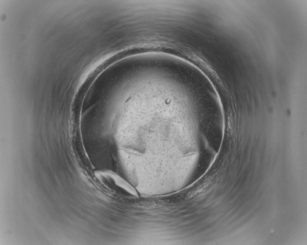 X0000066080724200603241431