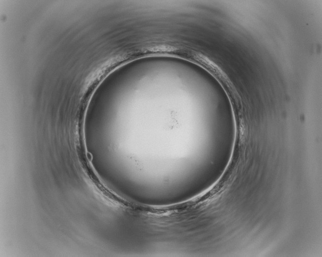 X0000066080725200603241431