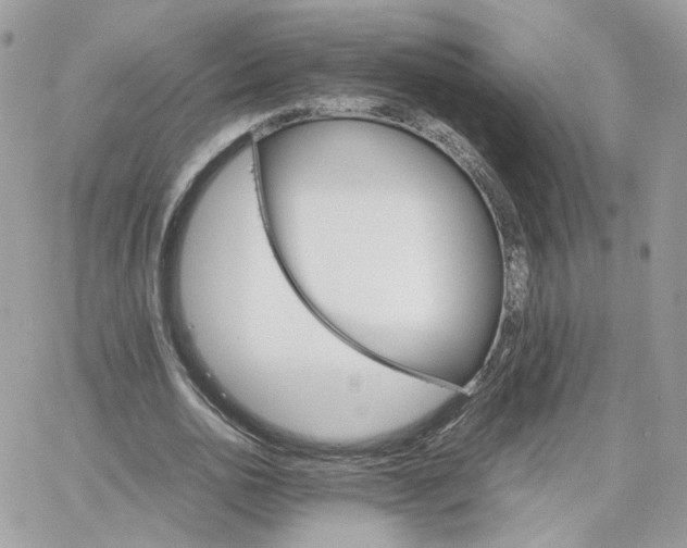 X0000066080726200603241431