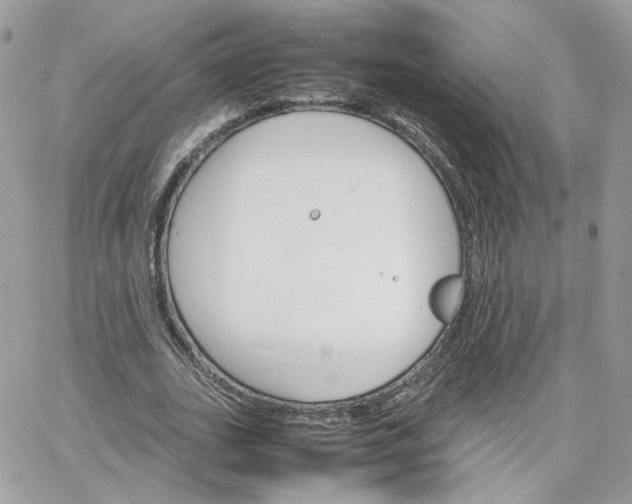 X0000066080727200603241431