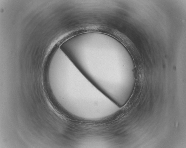 X0000066080728200603241431