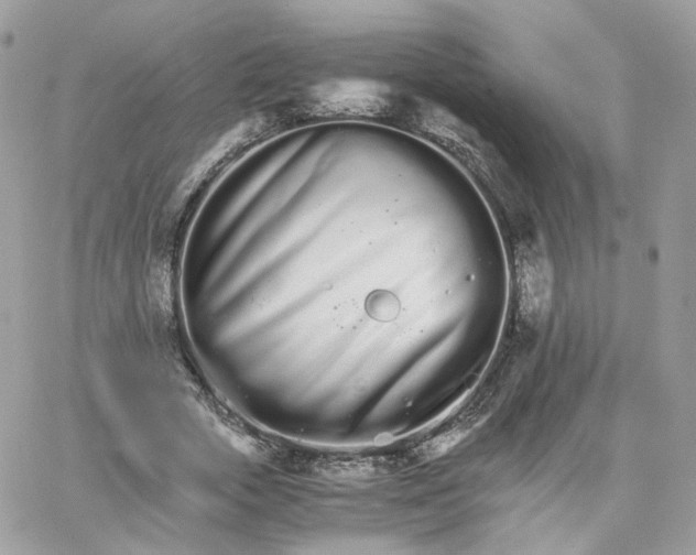 X0000066080729200603241431