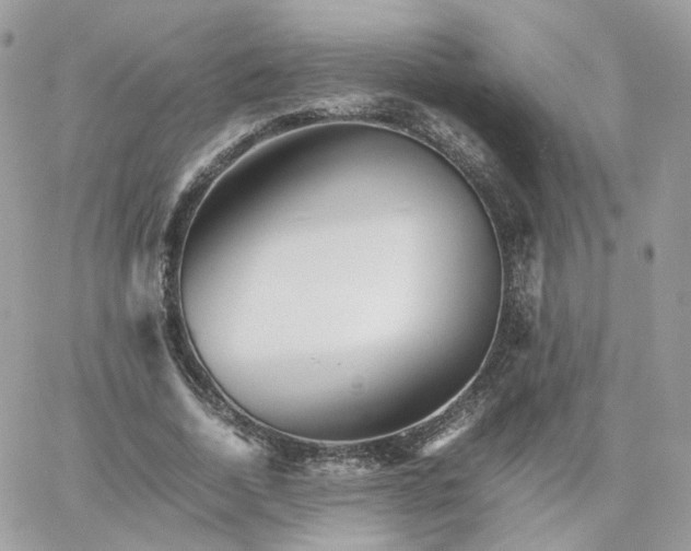 X0000066080730200603241431