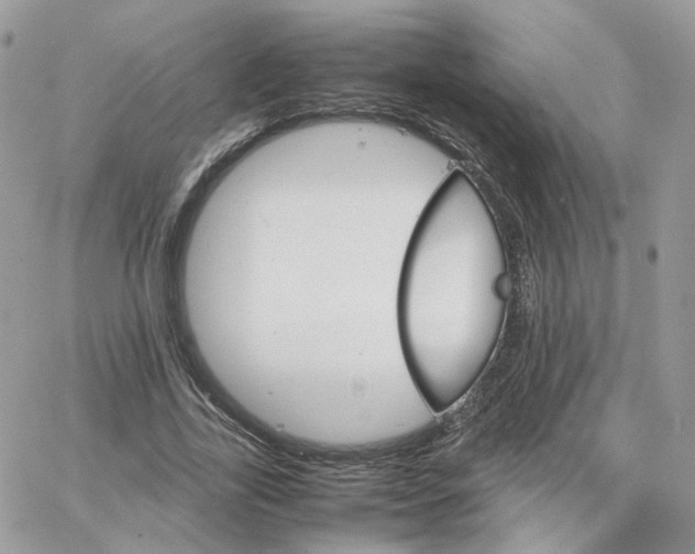 X0000066080731200603241431