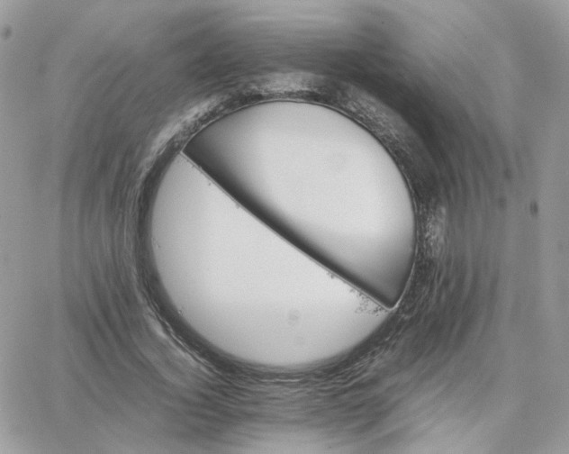 X0000066080732200603241431