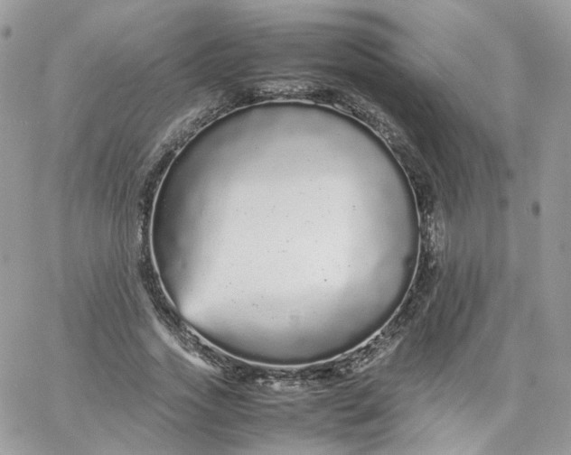 X0000066080733200603241431