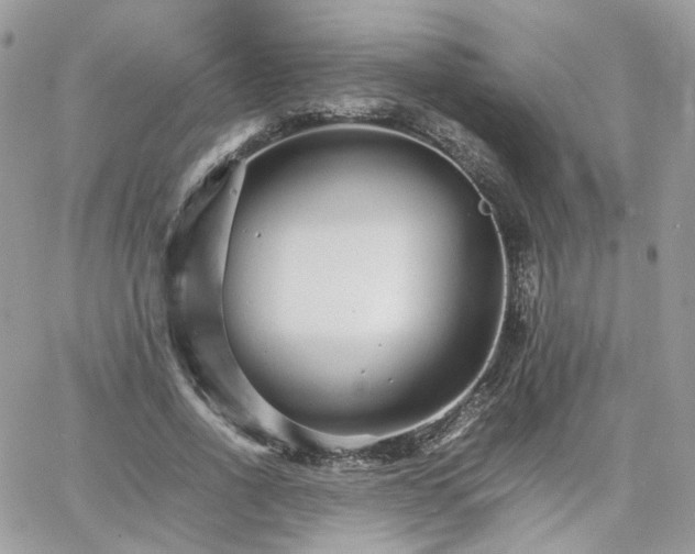 X0000066080734200603241431