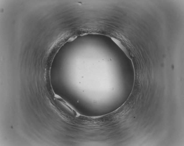 X0000066080735200603241431