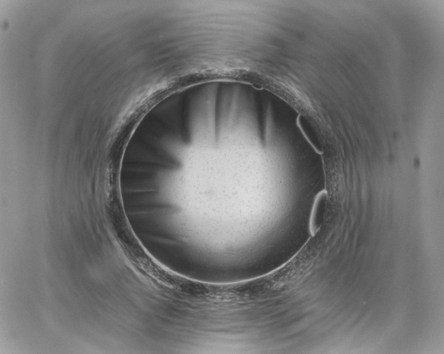 X0000066080736200603241431