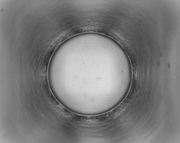 X0000066080737200603241431