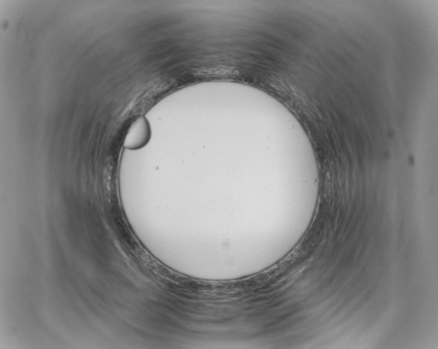 X0000066080739200603241431