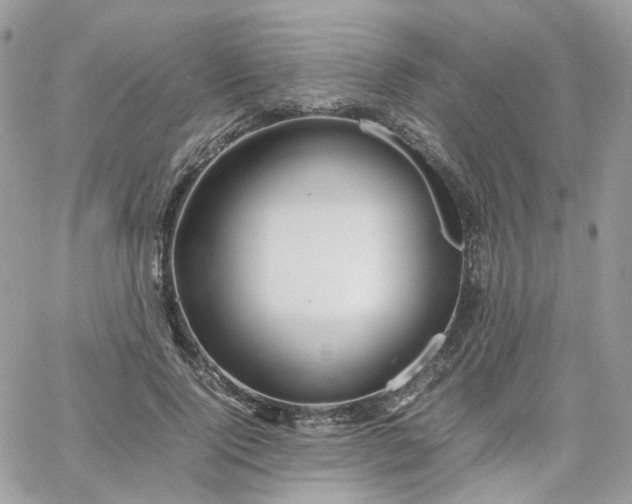 X0000066080740200603241431