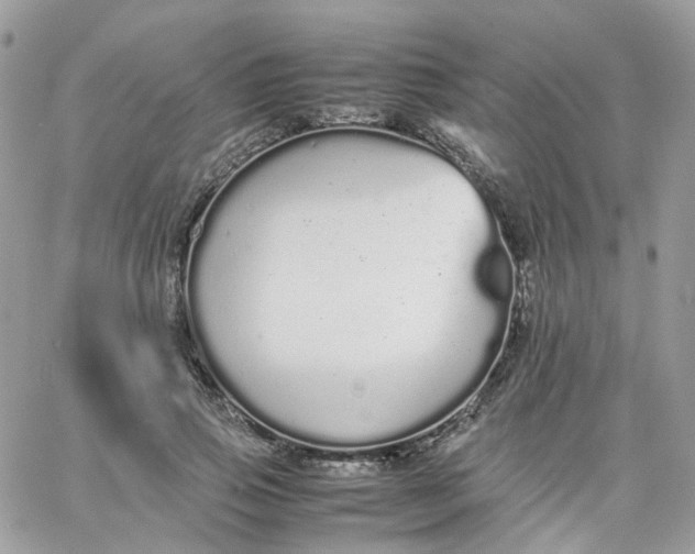 X0000066080741200603241431