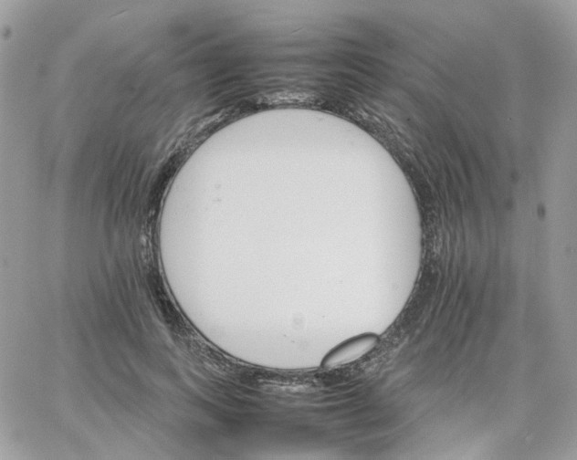 X0000066080743200603241431