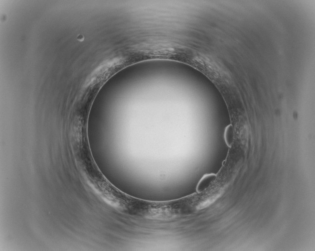 X0000066080744200603241431