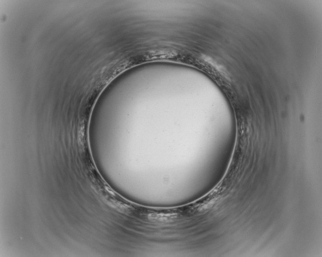 X0000066080745200603241431