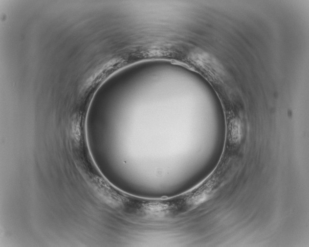 X0000066080746200603241431