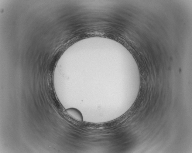 X0000066080747200603241431