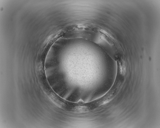 X0000066080748200603241431