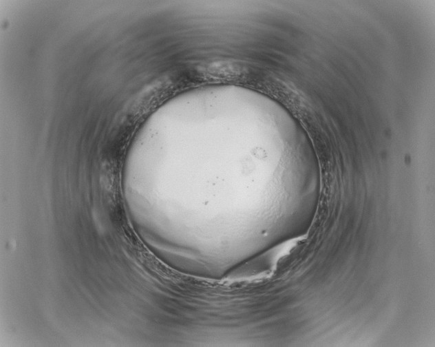 X0000066080749200603241431