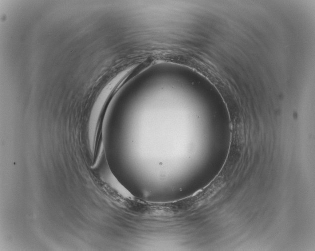 X0000066080750200603241431