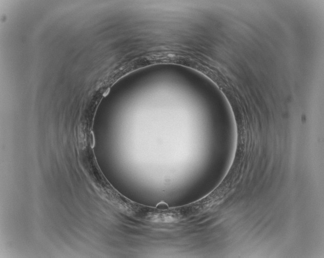 X0000066080751200603241431