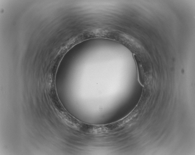 X0000066080752200603241431