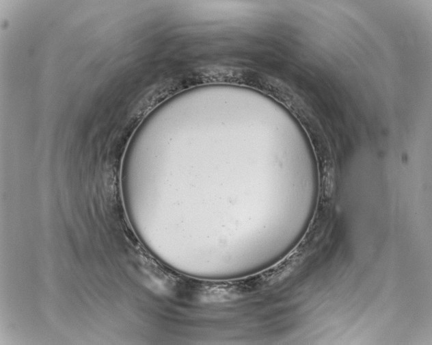 X0000066080753200603241431