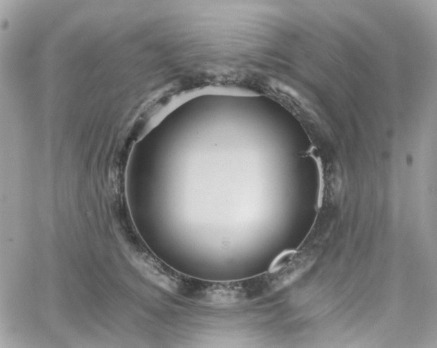 X0000066080756200603241431