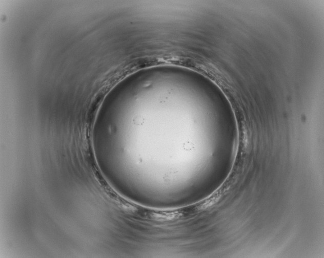 X0000066080757200603241431