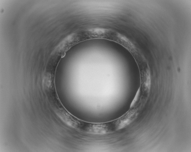 X0000066080758200603241431