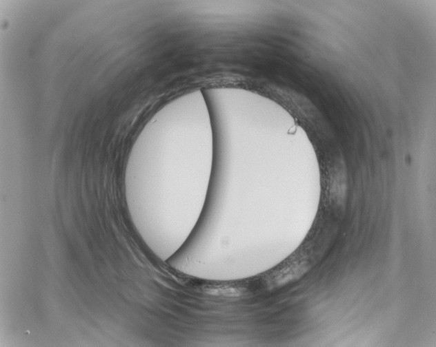 X0000066080759200603241432