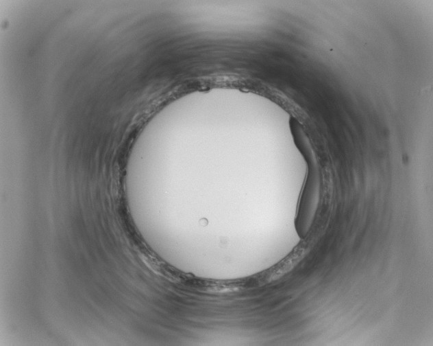 X0000066080760200603241432